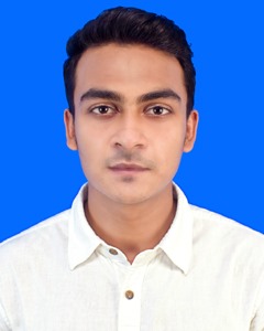 Raju Islam